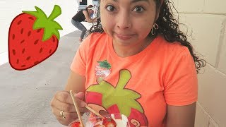 Berry FUN time at the Florida Strawberry Festival 2018!