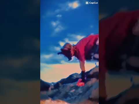 Wow we have 238 subscribers i love you #therianthropy #therian #nature #antizoo #alterhuman