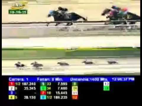 LA RINCONADA 1 CARRERA, DOMINGO 18 DE OCTUBRE DEL 2015