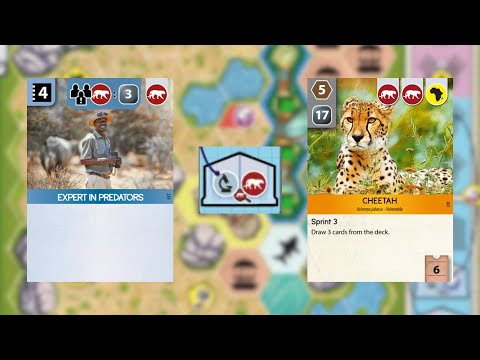 Ark Nova | new map study session part 2