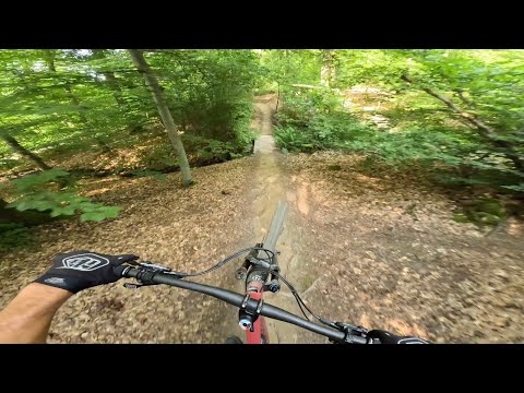 Flowtrail Stromberg Wild Hog Trail | RAW