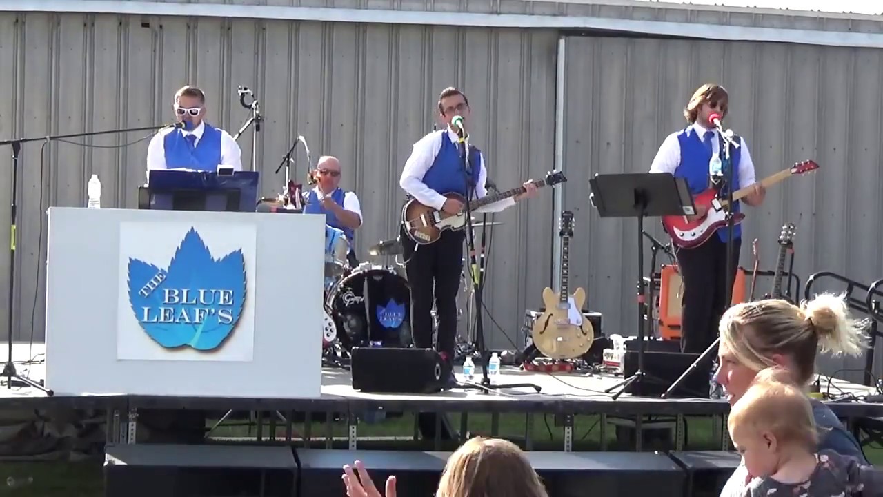 Promotional video thumbnail 2 for The Blue Leaf's