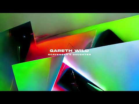 Gareth Wild - Ambush
