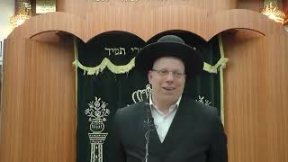 הרב ליאור גלזר 'יביע אומר'  פרשת שלח