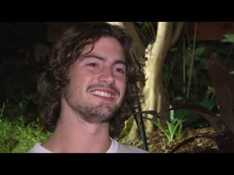 adidas skateboarding - the tour of city lights full