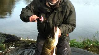 Rapala angry birds воблер
