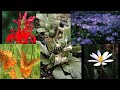 The Possibilities of Amazing Native Plants - The Mike Nowak Show The Possibilities of Amazing Native Plants