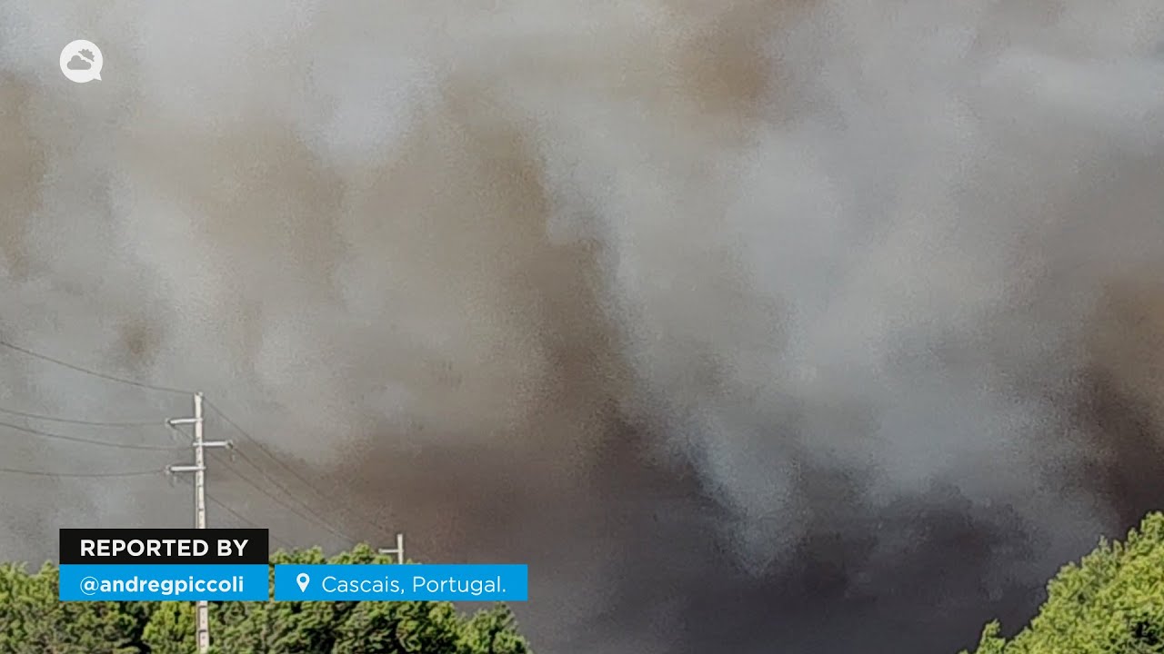 youtube video id=GZSHd7qH9lg