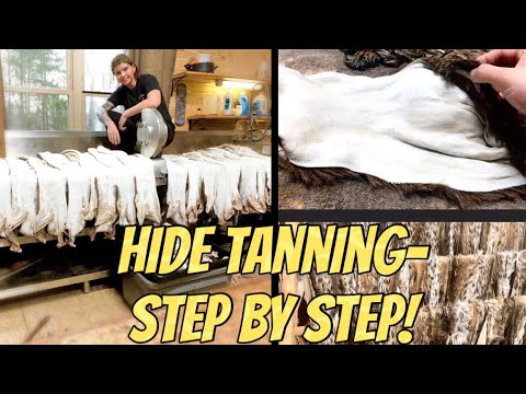 Step-By-Step COMPLETE TANNING TUTORIAL! Taxidermy WET *and* DRY tans! Anyone can do it!