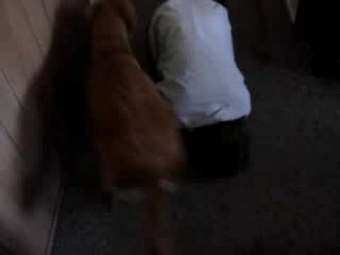 jacks creation gone uglieness