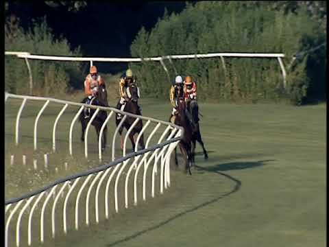 Galoppo 17/08/2019 - 2ª corsa