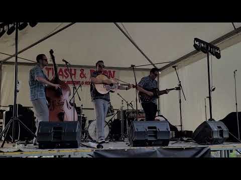 The High Steppers - The Flea (Live)