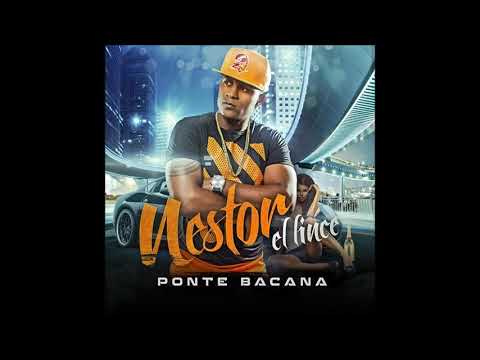 Nestor El Lince - Ponte Bacana (Audio)
