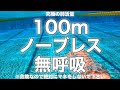 【息止め】100mノーブレス(無呼吸)!究極の肺活量!
