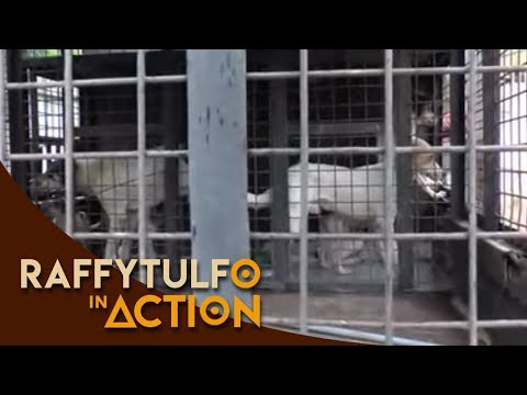 Kung paano ituring ang mga halamang-singaw lalamunan sanggol Puting kuko halamang-singaw