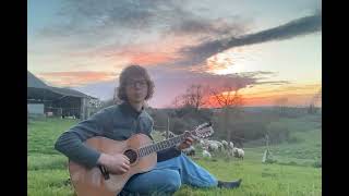 Quicksilver Daydreams of Maria - Townes Van Zandt cover