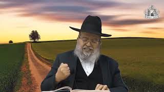 דף היומי בחצי שעה - ברכות דף י"ט
