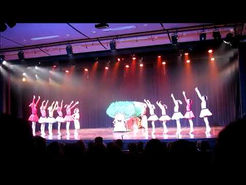 39°FEST DANÇA JLLE - MEIA PONTA - BALÉ NEOCLÁS - CONJ INFANTIL - BALÉ JOVEM SÃO VICENTE - BY GENEBA