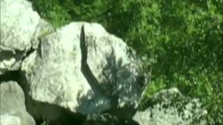 preview picture of video 'Largest glacially deposited boulder, Mysterious hanging boulder & the Watchdog of caves.'
