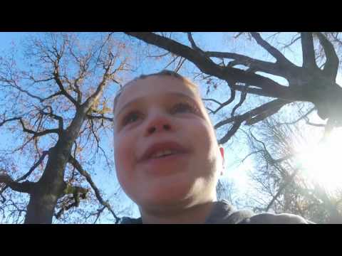 Video thumbnail for Courtesy Phone