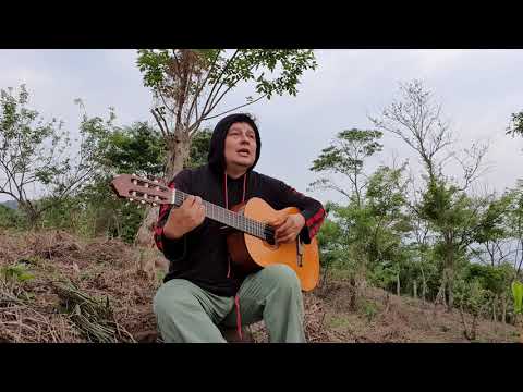 Dolor de patria / Saul Gestoni