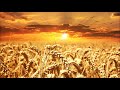Meditation Music For Positive Energy 3 Minutes Relaxing Music For Studying 3 Minutes Relax 3 Min