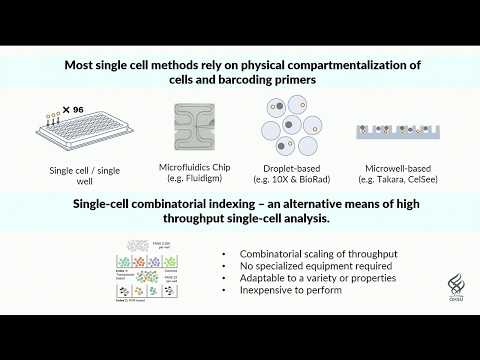 E01.3 Advancing single-cell genomics using combinatorial indexing