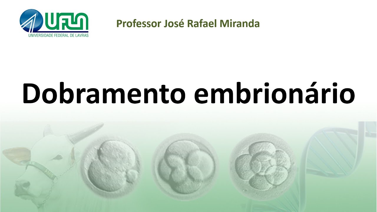 Dobramento embrionário