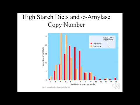 CH 4: Functional Genetic Variation and Protein Polymorphism