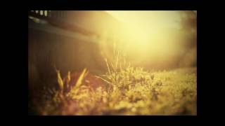 Download lagu Cove - Buckethead mp3