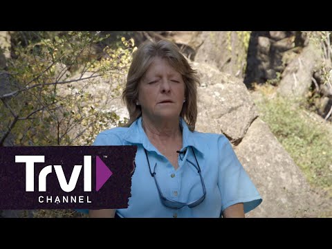 download lagu mp3 mp4 Lemurians Shasta, download mp3 Lemurians Shasta free downloadn, video klip Lemurians Shasta