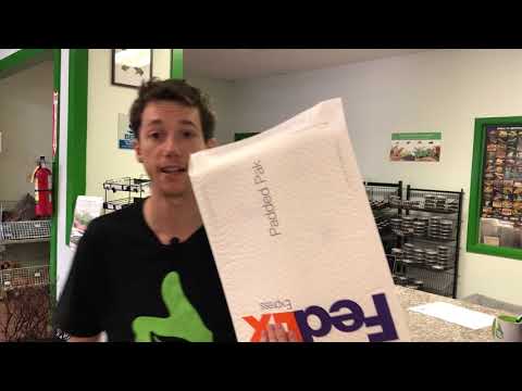 A fungus among us: how to test for Chytrid and proper quarantine procedure for amphibians.