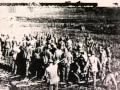 Documentary History - Unit 731: Nightmare in Manchuria