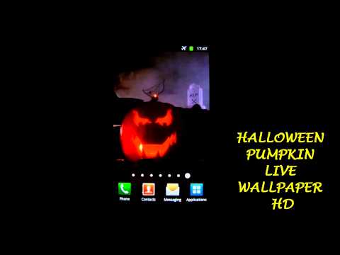 Halloween Pumpkin Live HD Video