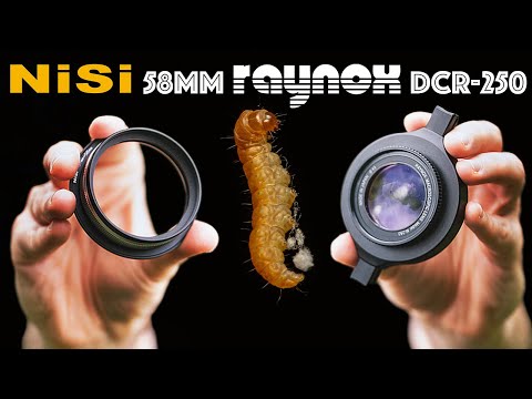 Budget Macro = Pro Results : Raynox DCR-250 & NiSi58mm STACKED for 3X Magnification