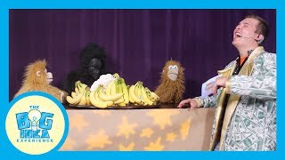 Adventures with Artie: Gratitude