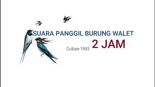 Download lagu SUARA PANGGIL BURUNG WALET  TERBAIK, DURASI PANJANG!! AMPUH mp3