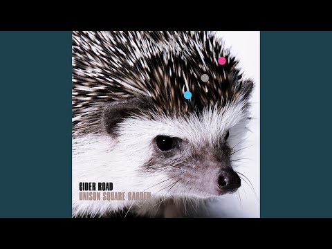 アボカドの木を地面に植える 日当たりの良い場所、水はけの良い土を選びます