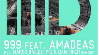 999 feat Amadeas - Find The Answer - Pig & Dan Mix