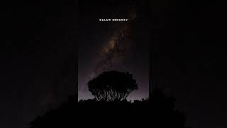 Download lagu Story wa•|| Pilihan Hatiku - Lavina #storywa #liriklagu mp3