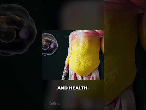 How Does Your Body Burn Fat (The Process of Weight Loss)