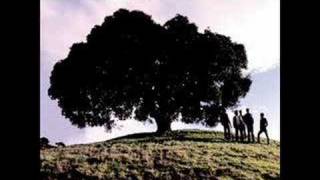 Sherwood - Those Bright Lights