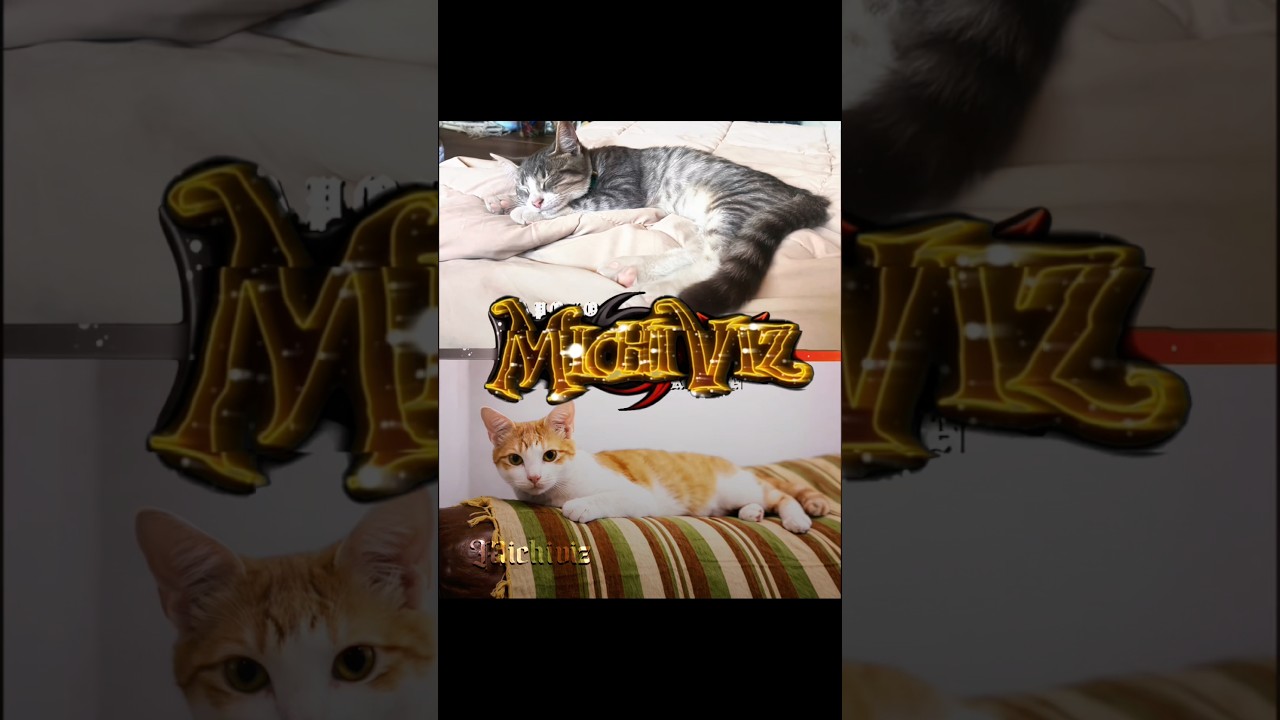 Apolo Vs Kevin | Song - Montagem Camera lenta X Homage Funk @Rezcaze