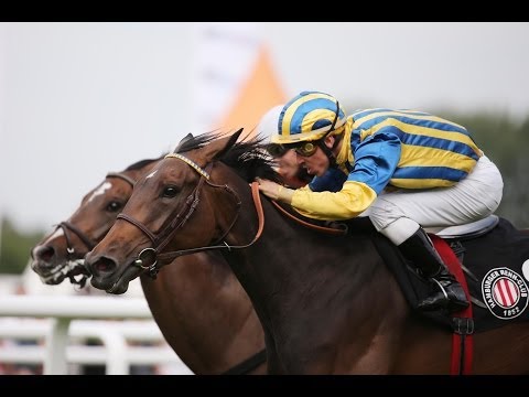 Hamburg: German Tote "Langer Hamburger" (Listenrennen) - Siegerin: Baroness Daniela