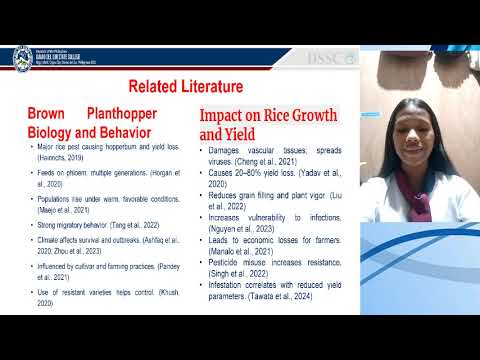 Video presentation: Brown Planthopper Infestation and Effects on Rice Growth