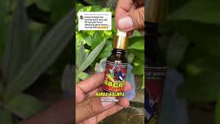 Download lagu Ini obatnya!!! Murai Batu GAK BONGKAR ISIAN, Banyak NGUKLUK, Banyak JEDA. #muraibatu #murai #vitamin mp3 Download lagu Ini obatnya!!! Murai Batu GAK BONGKAR ISIAN, Banyak NGUKLUK, Banyak JEDA. #muraibatu #murai #vitamin mp3