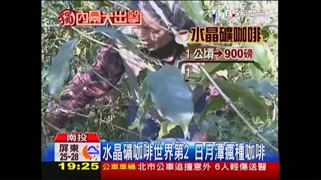 〈獨家〉水晶礦咖啡世界第2　日月潭瘋種咖啡