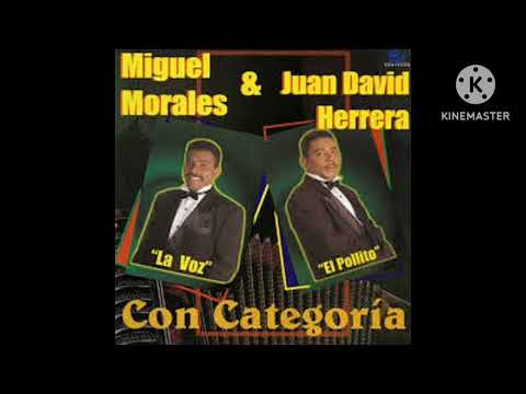 No Debí Enamorarme Miguel Morales Audio Oficial