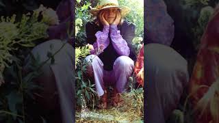 "The Hangman's Beautiful Daughter" by The Incredible String Band | Episode 233 #music #musichistory