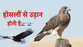 Hoslo Se Udan Hoti He 🛫 Whatsapp status video �